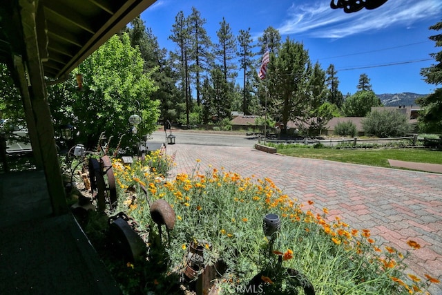 view of community featuring a mountain view