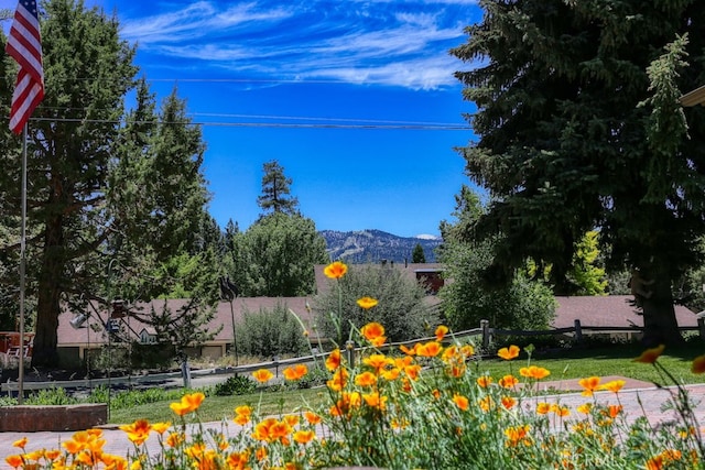 view of property's community featuring a mountain view