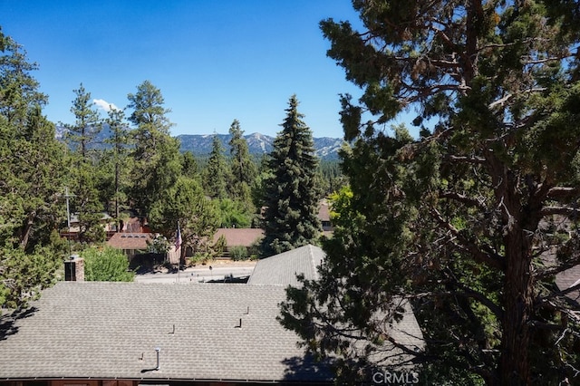 view of landscape featuring a mountain view