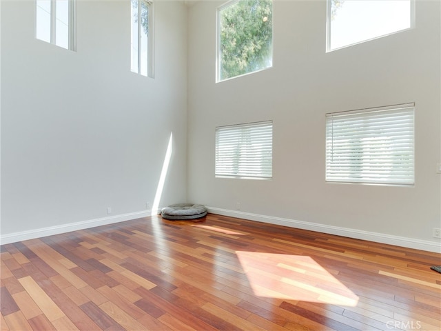 spare room featuring wood-type flooring and a high ceiling