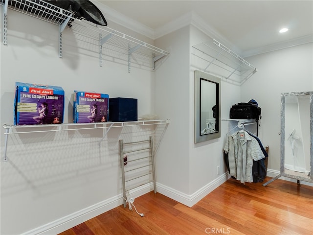 spacious closet with hardwood / wood-style flooring