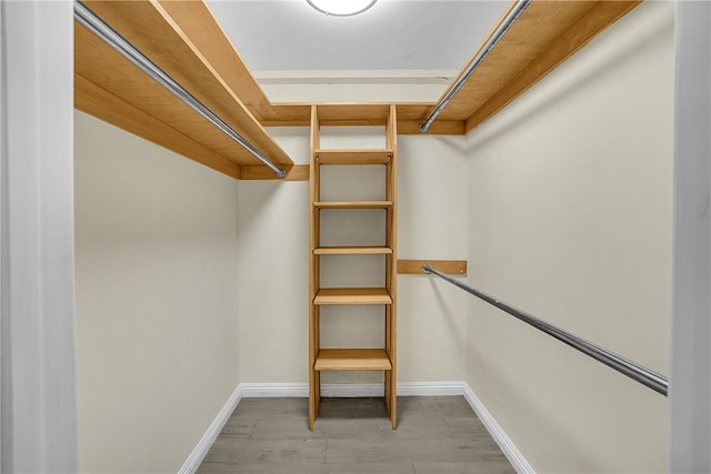 spacious closet featuring light hardwood / wood-style floors