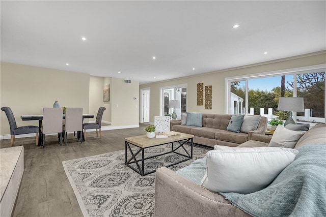 living room featuring light hardwood / wood-style floors