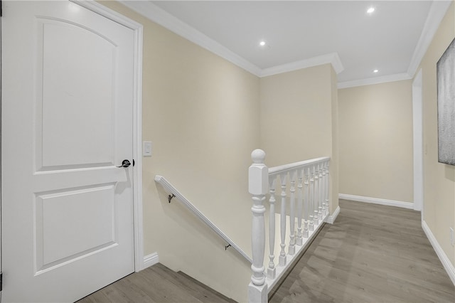 hall featuring light hardwood / wood-style flooring and ornamental molding