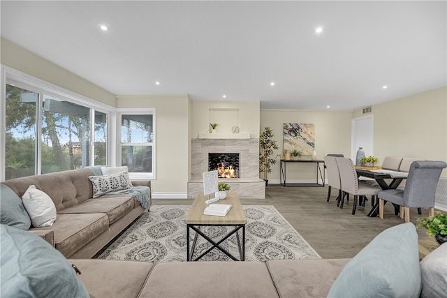 living room featuring a premium fireplace and light hardwood / wood-style floors