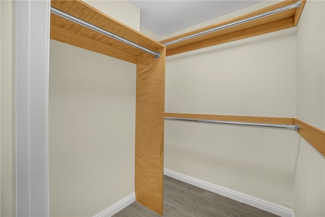 spacious closet featuring hardwood / wood-style floors