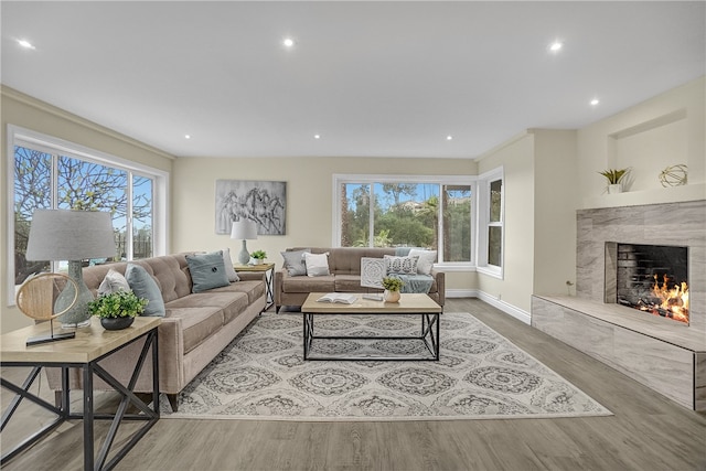 living room featuring hardwood / wood-style floors and a premium fireplace