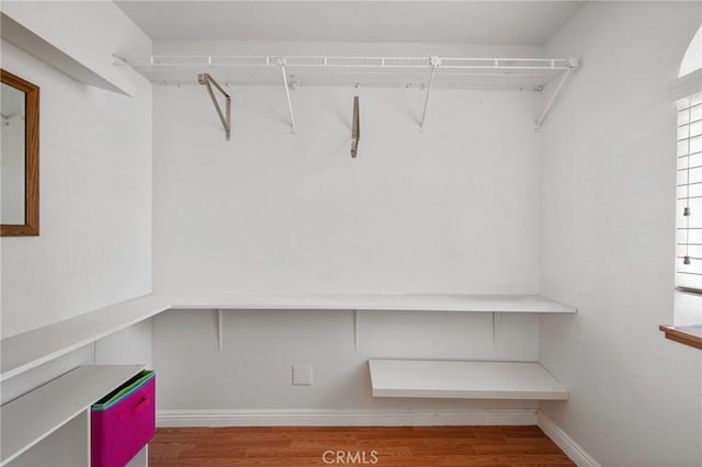 spacious closet with wood-type flooring