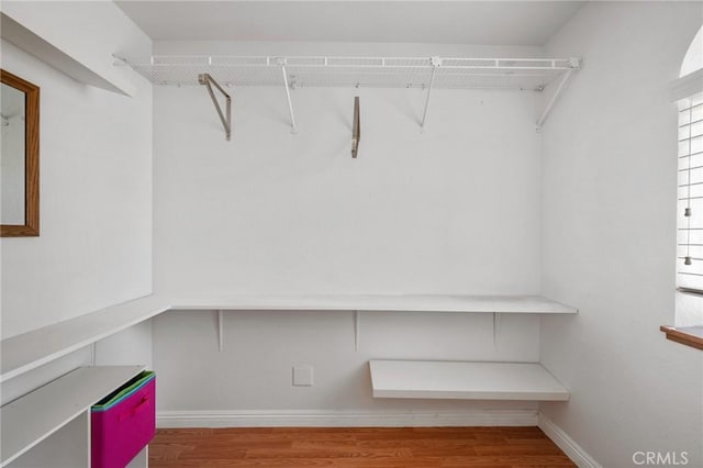 walk in closet with wood finished floors