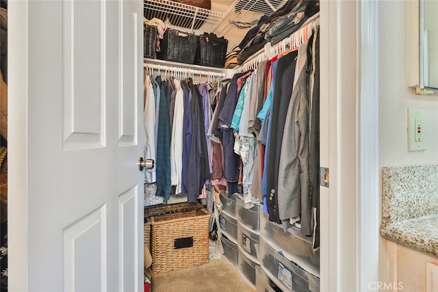 spacious closet featuring carpet flooring