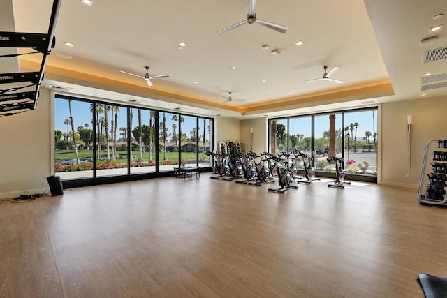 gym with a healthy amount of sunlight, wood-type flooring, and ceiling fan