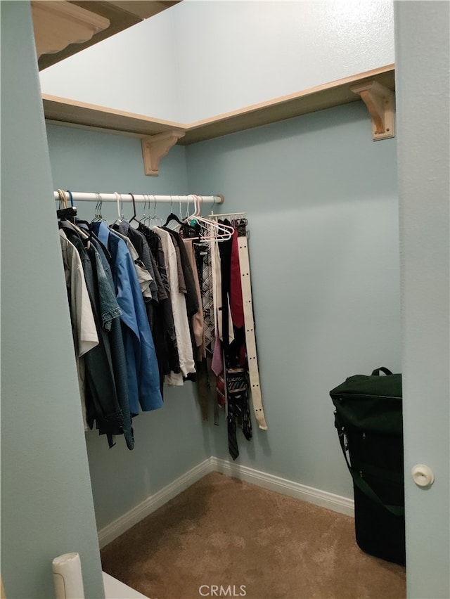 spacious closet featuring carpet floors