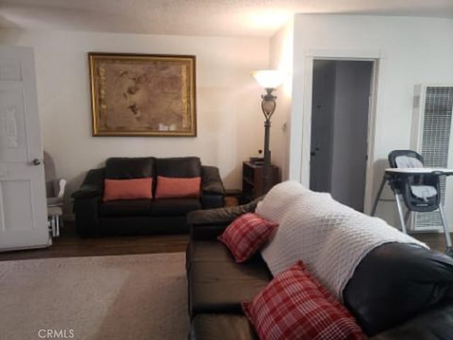 living room featuring hardwood / wood-style floors