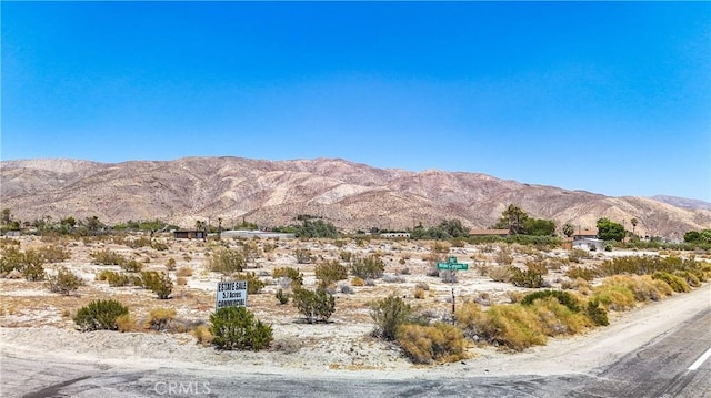 23 Ford Ave, Sky Valley, CA 92241 - photo 29