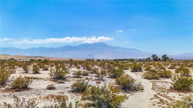 60 Dillon Rd, Sky Valley, CA 92241 - photo 22