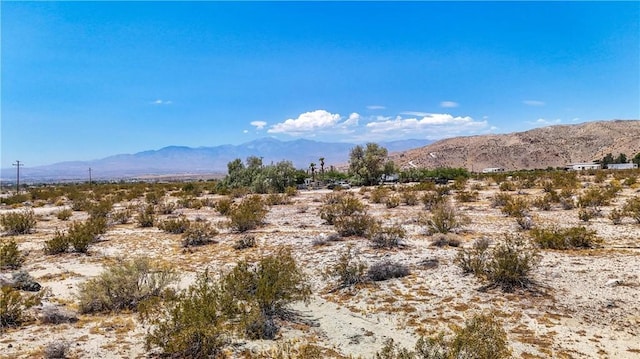 60 Dillon Rd, Sky Valley, CA 92241 - photo 32