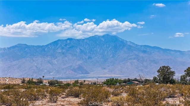 60 Dillon Rd, Sky Valley, CA 92241 - photo 26