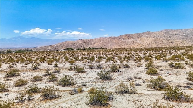 60 Dillon Rd, Sky Valley, CA 92241 - photo 17