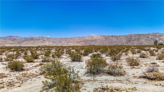 60 Dillon Rd, Sky Valley, CA 92241 - photo 19