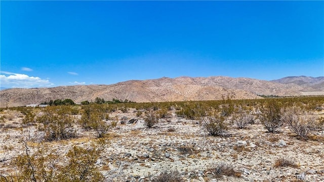 60 Dillon Rd, Sky Valley, CA 92241 - photo 31