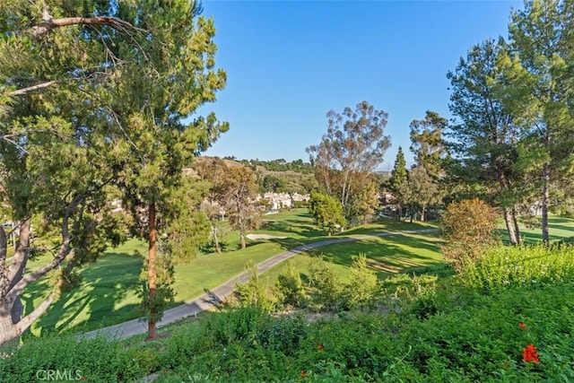 view of community with a lawn