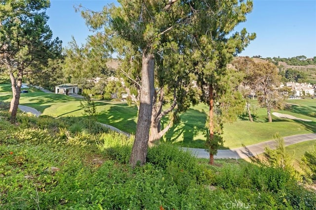 view of property's community featuring a lawn