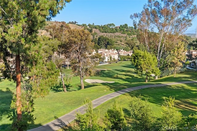 view of property's community with a lawn