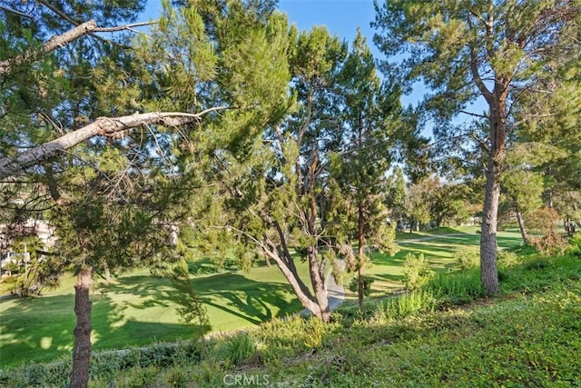 surrounding community featuring a yard