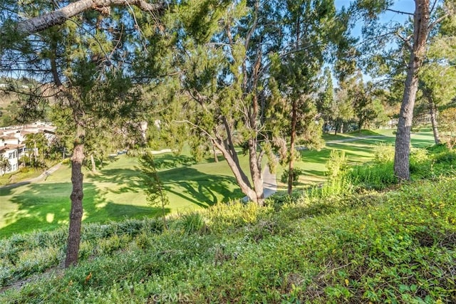 view of property's community featuring a lawn