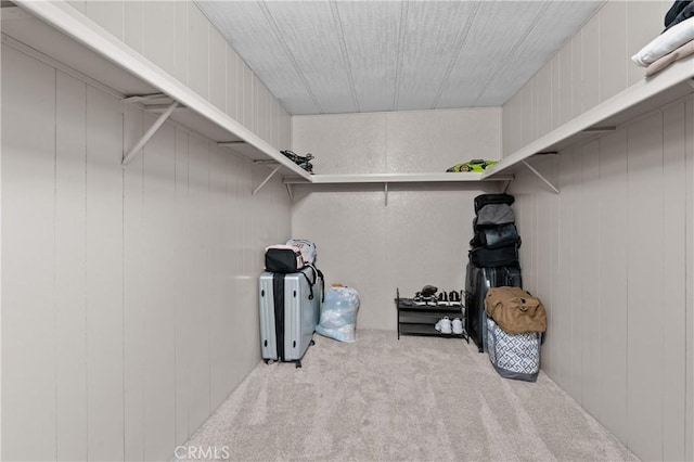 walk in closet featuring light colored carpet