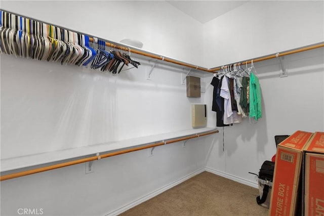 walk in closet with light colored carpet