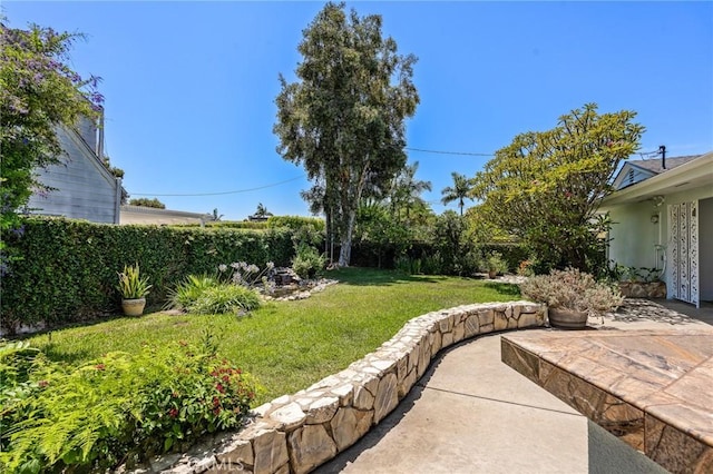 view of yard featuring a patio