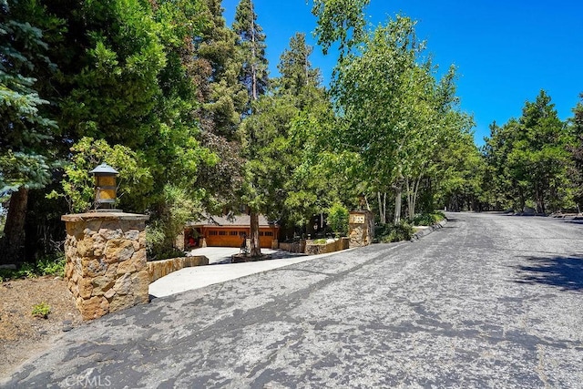 29130 Bald Eagle Rdg, Lake Arrowhead, CA 92352 - view of road