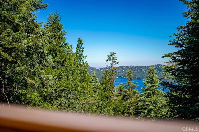 29130 Bald Eagle Rdg, Lake Arrowhead, CA 92352 - view of water feature