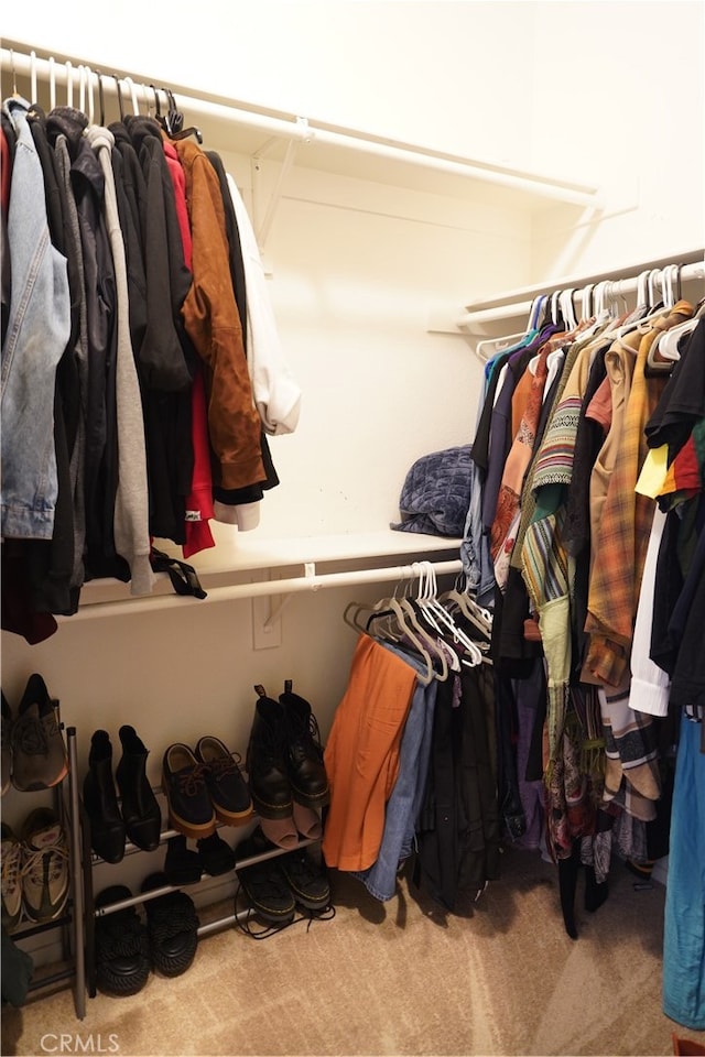 spacious closet featuring carpet flooring