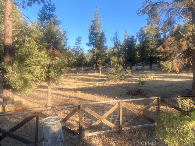 view of yard with a rural view