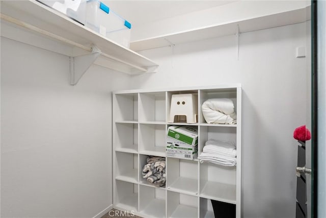 view of walk in closet