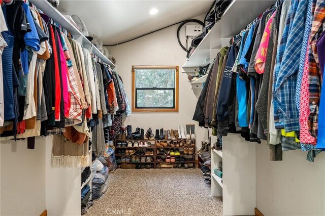 spacious closet featuring carpet floors