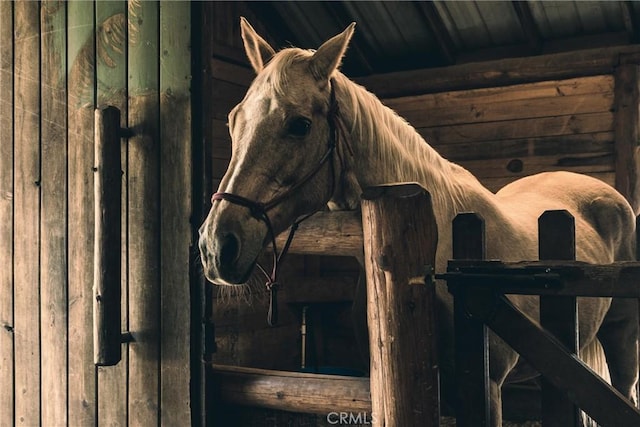 view of horse barn