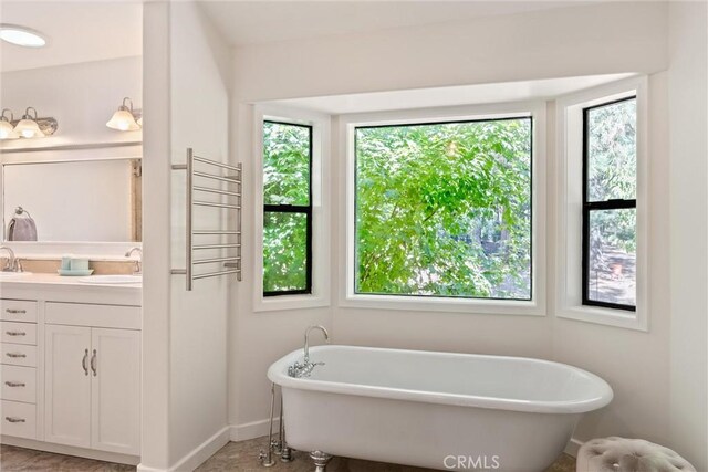 bathroom featuring vanity, plenty of natural light, and a bathtub