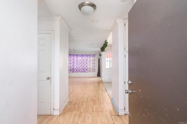 hall featuring light wood-type flooring, crown molding, and a textured ceiling