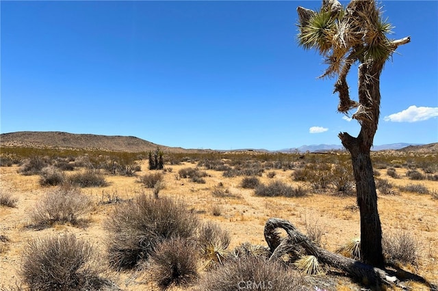 0 Willie Way, Joshua Tree CA, 92252 land for sale