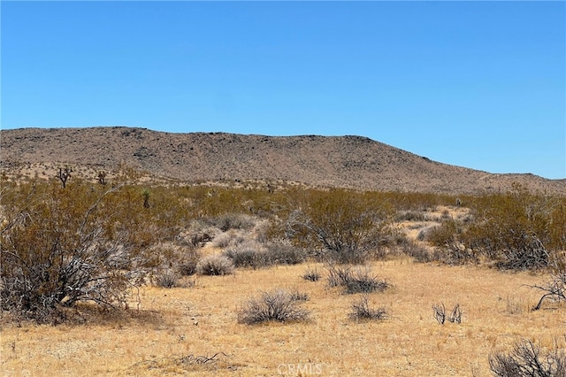 Listing photo 2 for 0 Willie Way, Joshua Tree CA 92252