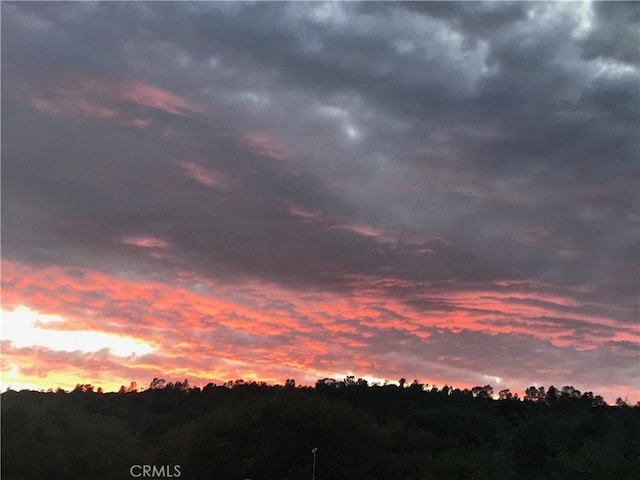 view of nature at dusk