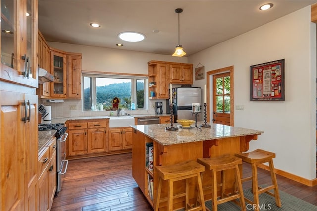 kitchen with a wealth of natural light, a center island, stainless steel appliances, and exhaust hood