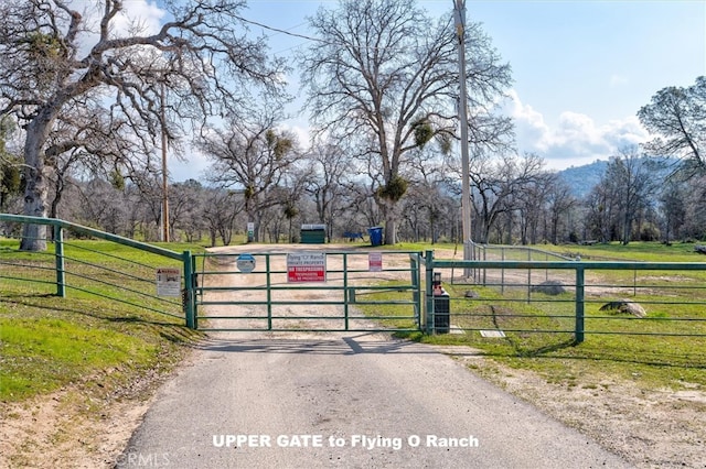 view of gate featuring a yard and a rural view