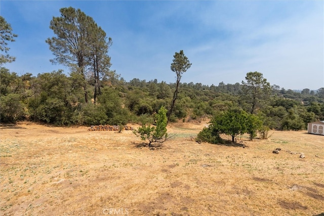 view of nature with a rural view