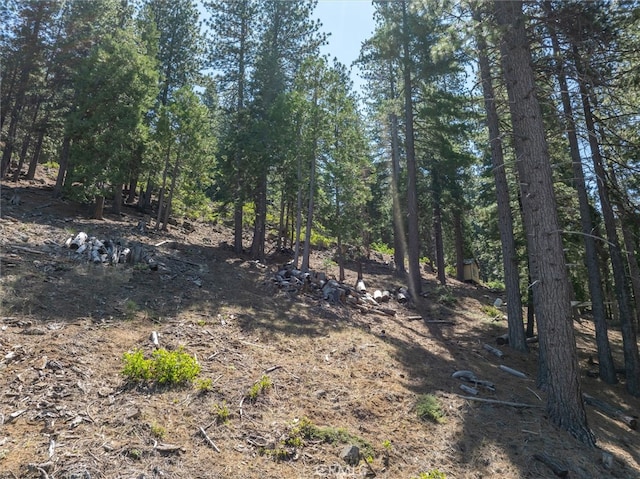 7343 Yosemite Park Way, Yosemite CA, 95389 land for sale