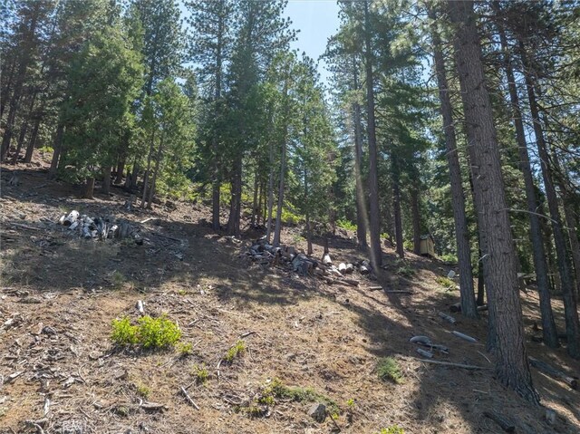 7343 Yosemite Park Way, Yosemite, CA 95389 - photo 1