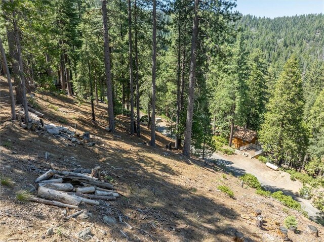 7343 Yosemite Park Way, Yosemite, CA 95389 - photo 4
